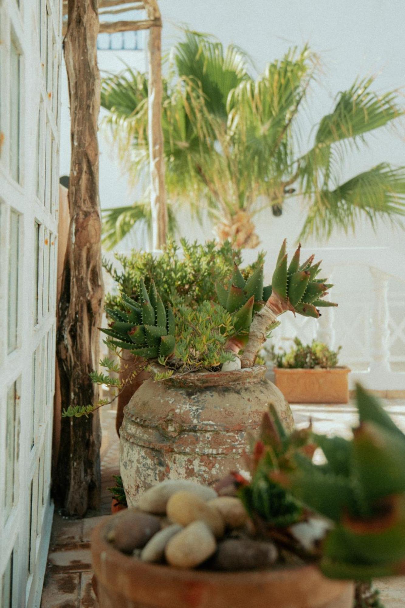 Riad Baladin Essaouira Eksteriør bilde